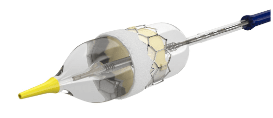 transcatheter leaflet cutter